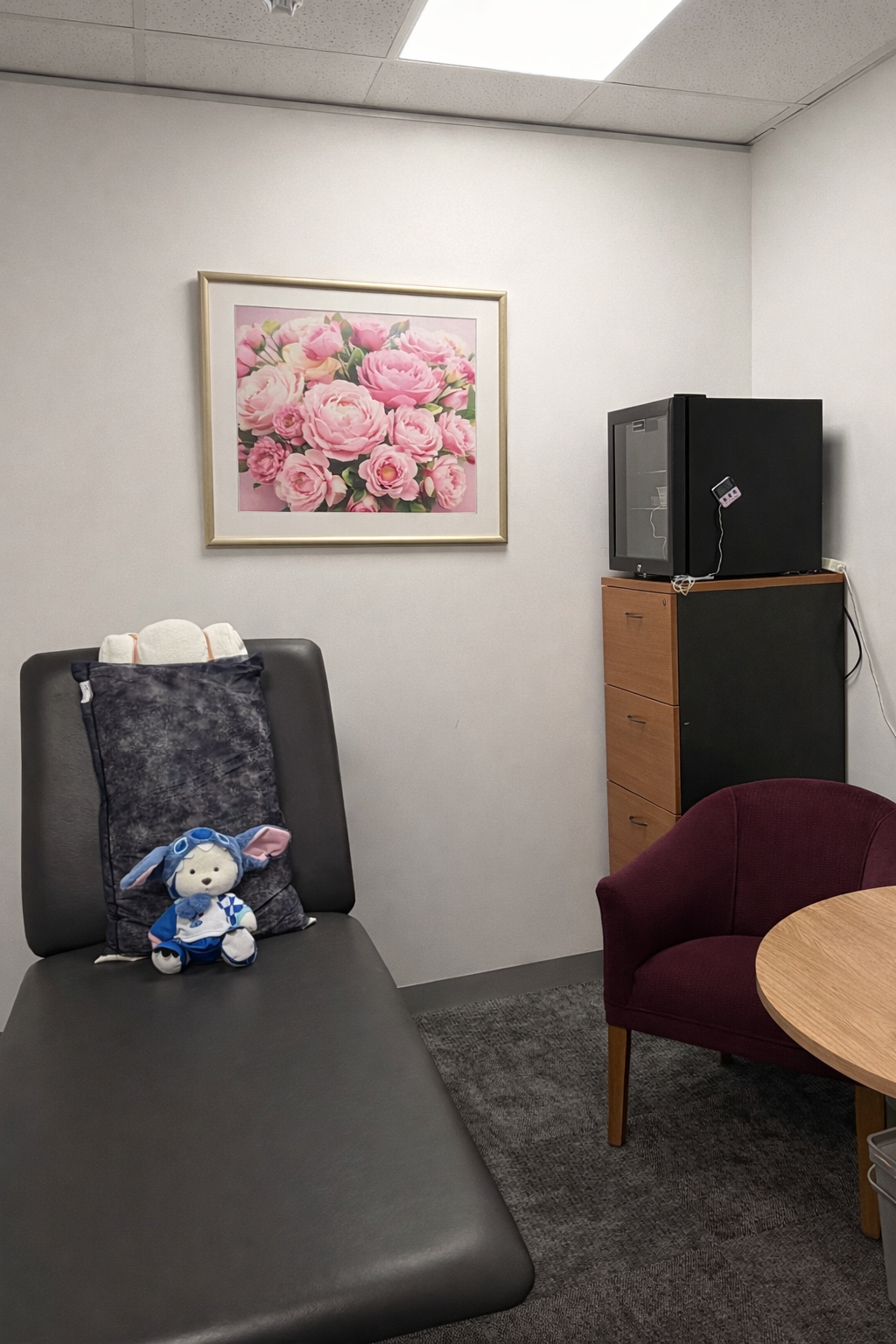 Wrinkleless Aesthetics Clinic Interior